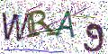 图形验证