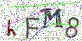 图形验证