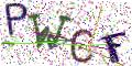 图形验证