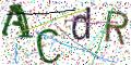图形验证