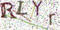 图形验证