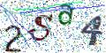 图形验证