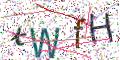 图形验证