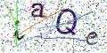 图形验证