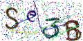 图形验证