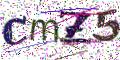 图形验证