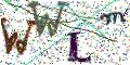 图形验证