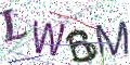 图形验证
