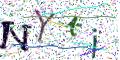 图形验证