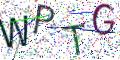 图形验证
