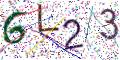 图形验证