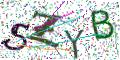 图形验证