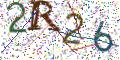 图形验证