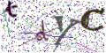 图形验证