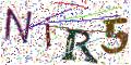 图形验证