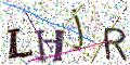 图形验证