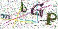 图形验证