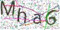 图形验证