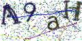 图形验证