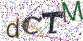 图形验证