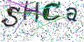 图形验证