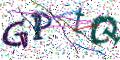 图形验证