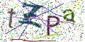 图形验证