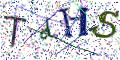 图形验证
