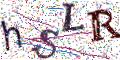 图形验证