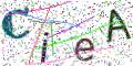 图形验证