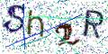 图形验证