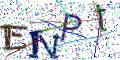 图形验证