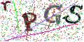图形验证