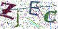 图形验证