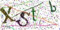 图形验证