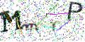 图形验证