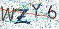 图形验证
