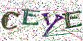 图形验证