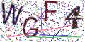 图形验证