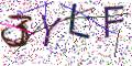 图形验证