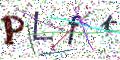 图形验证