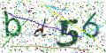图形验证