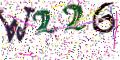 图形验证