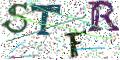 图形验证