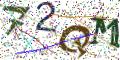 图形验证