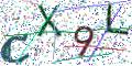图形验证