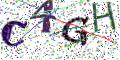 图形验证