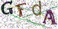 图形验证