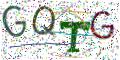 图形验证