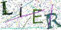 图形验证